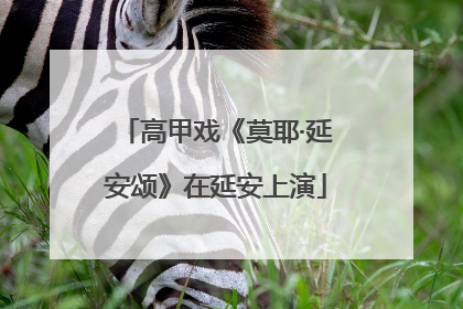 高甲戏《莫耶·延安颂》在延安上演