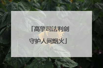 高擎司法利剑 守护人间烟火