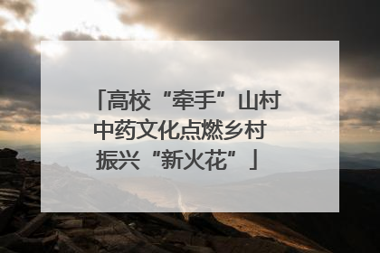 高校“牵手”山村 中药文化点燃乡村振兴“新火花”
