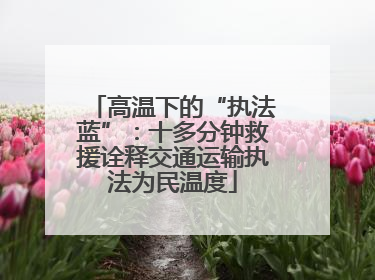 高温下的“执法蓝”：十多分钟救援诠释交通运输执法为民温度
