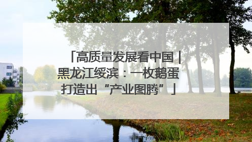 高质量发展看中国｜黑龙江绥滨：一枚鹅蛋打造出“产业图腾”