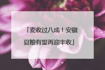 麦收过八成！安徽夏粮有望再迎丰收