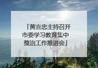 黄喜忠主持召开市委学习教育集中整治工作推进会