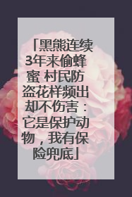 黑熊连续3年来偷蜂蜜 村民防盗花样频出却不伤害：它是保护动物，我有保险兜底