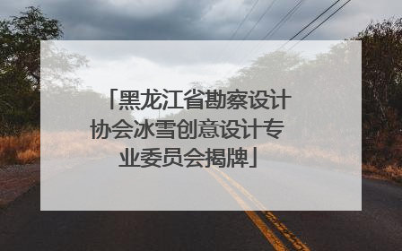 黑龙江省勘察设计协会冰雪创意设计专业委员会揭牌