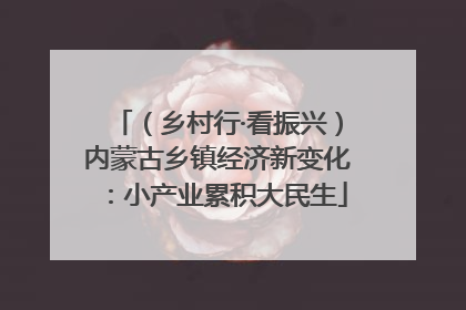 （乡村行·看振兴）内蒙古乡镇经济新变化：小产业累积大民生