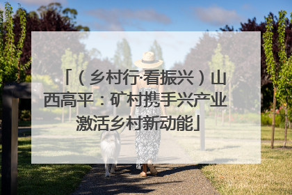 （乡村行·看振兴）山西高平：矿村携手兴产业 激活乡村新动能