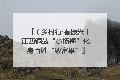 （乡村行·看振兴）江西铜鼓“小杨梅”化身百姓“致富果”