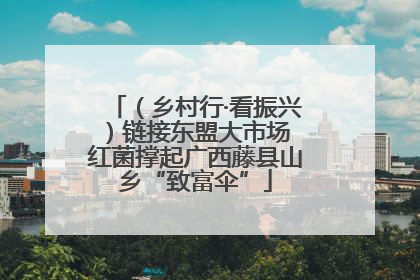 （乡村行·看振兴）链接东盟大市场 红菌撑起广西藤县山乡“致富伞”