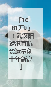 10.81万吨！武汉阳逻港直航货运量创十年新高
