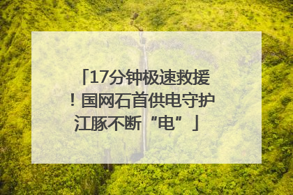 17分钟极速救援！国网石首供电守护江豚不断“电”