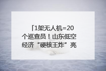 1架无人机=20个巡查员！山东低空经济“硬核王炸”亮相青岛，下一个万亿赛道藏在这里