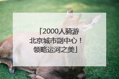 2000人骑游北京城市副中心！领略运河之美