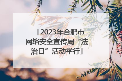2023年合肥市网络安全宣传周“法治日”活动举行
