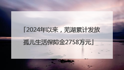 2024年以来，芜湖累计发放孤儿生活保障金2758万元