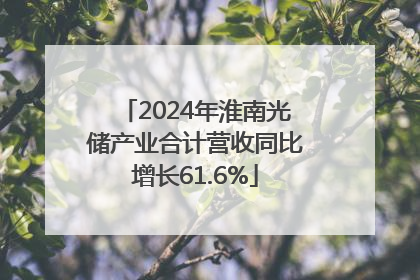 2024年淮南光储产业合计营收同比增长61.6%