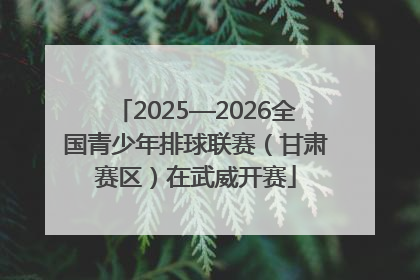 2025—2026全国青少年排球联赛（甘肃赛区）在武威开赛