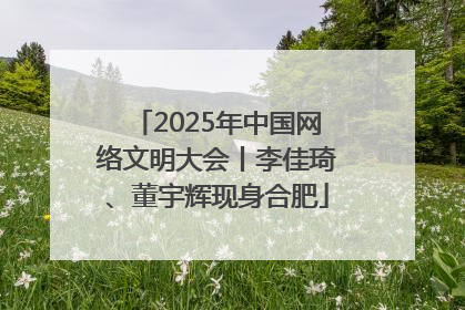 2025年中国网络文明大会丨李佳琦、董宇辉现身合肥