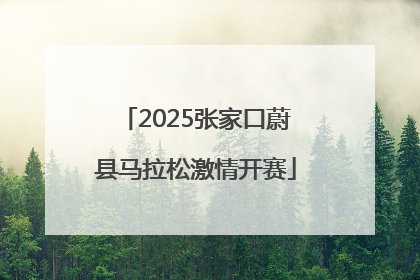 2025张家口蔚县马拉松激情开赛