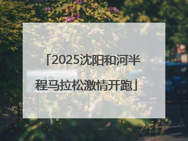 2025沈阳和河半程马拉松激情开跑