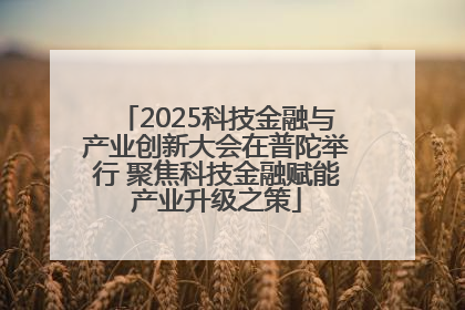 2025科技金融与产业创新大会在普陀举行 聚焦科技金融赋能产业升级之策