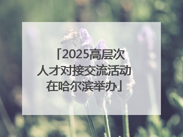 2025高层次人才对接交流活动在哈尔滨举办