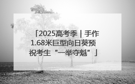 2025高考季｜手作1.68米巨型向日葵预祝考生“一举夺魁”
