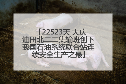 22523天 大庆油田北二二集输班创下我国石油系统联合站连续安全生产之最