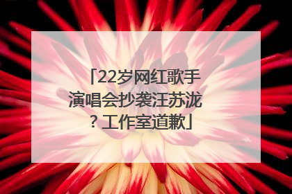 22岁网红歌手演唱会抄袭汪苏泷？工作室道歉