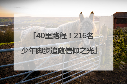 40里路程！216名少年脚步追随信仰之光