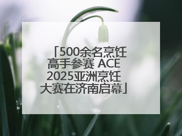 500余名烹饪高手参赛 ACE2025亚洲烹饪大赛在济南启幕