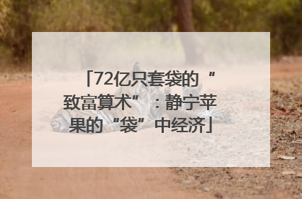 72亿只套袋的“致富算术”：静宁苹果的“袋”中经济