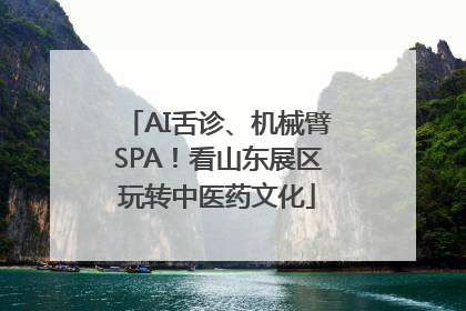 AI舌诊、机械臂SPA！看山东展区玩转中医药文化