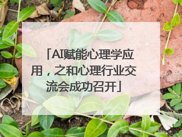 AI赋能心理学应用，之和心理行业交流会成功召开