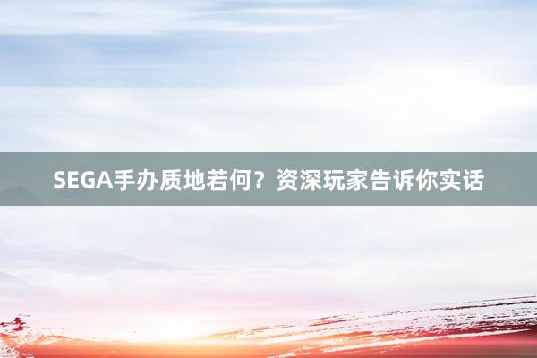 SEGA手办质地若何？资深玩家告诉你实话